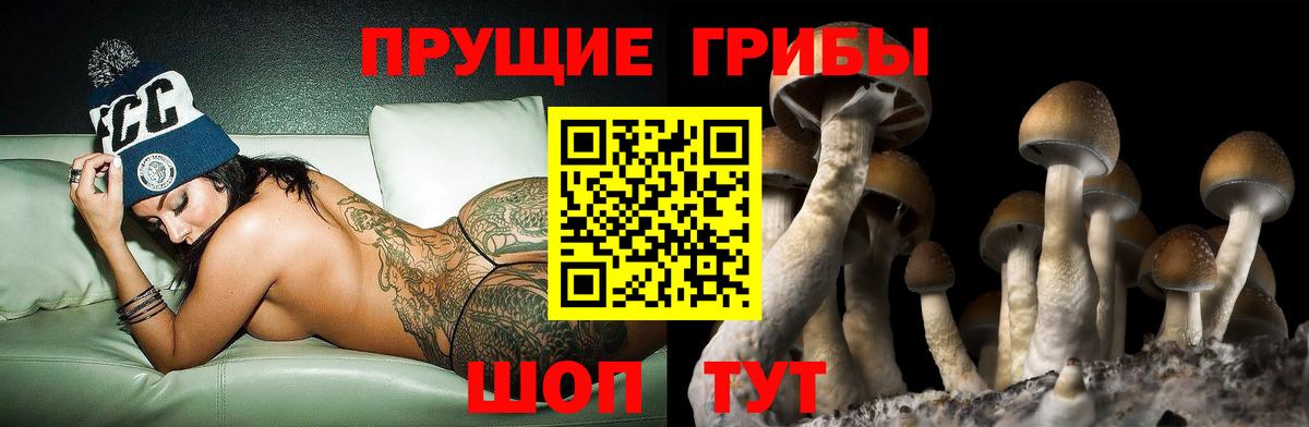 Галлюциногенные грибы Cubensis Новосибирск